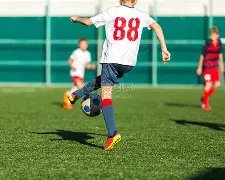 巧妙退让,克雷莫纳能,否上演华丽,bet365中文,bet365国内网址网站,BET365体育